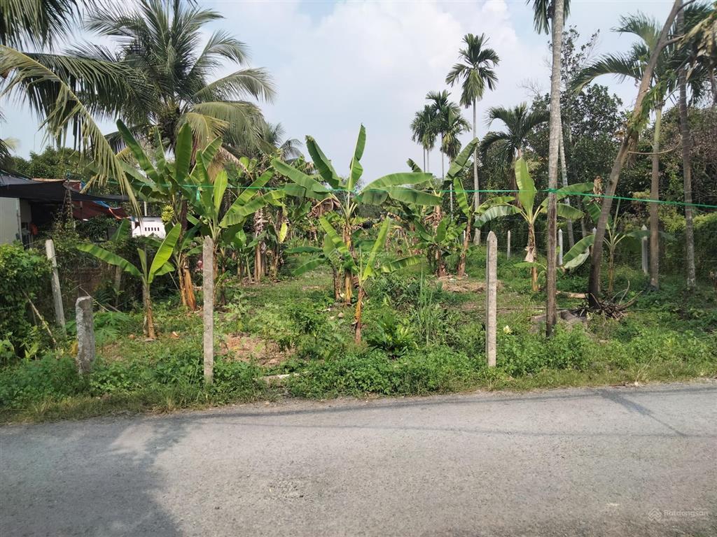 Bán đất vườn 12,5x60m (710m2) đất quy hoạch kdc hiện hữu  bình mỹ