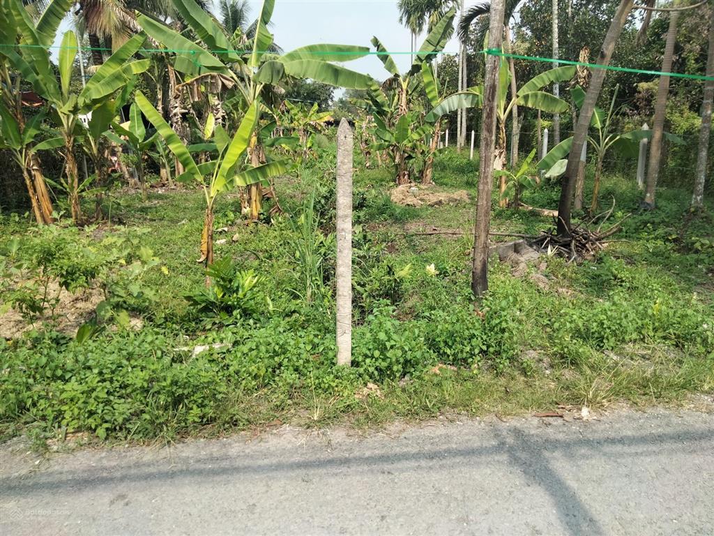 Bán đất vườn 12,5x60m (710m2) đất quy hoạch kdc hiện hữu  bình mỹ