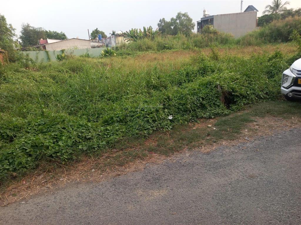 Bán đất thổ cư 185m2 mặt tiền đường nhựa, xây dựng hoàn công xã bình mỹ