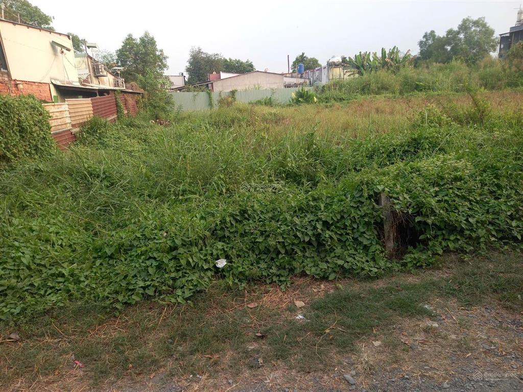 Bán đất thổ cư 185m2 mặt tiền đường nhựa, xây dựng hoàn công xã bình mỹ