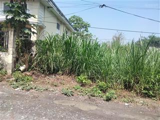 Bán đất thổ cư 107m2 cách tỉnh lộ 15 chưa tới 300m giá rẻ