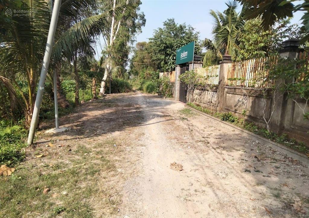 Bán ngộp lô đất vườn 1000m2  sát trường cấp 2  quy hoạch đất ở sát ngay trường cấp 2 bình hoà