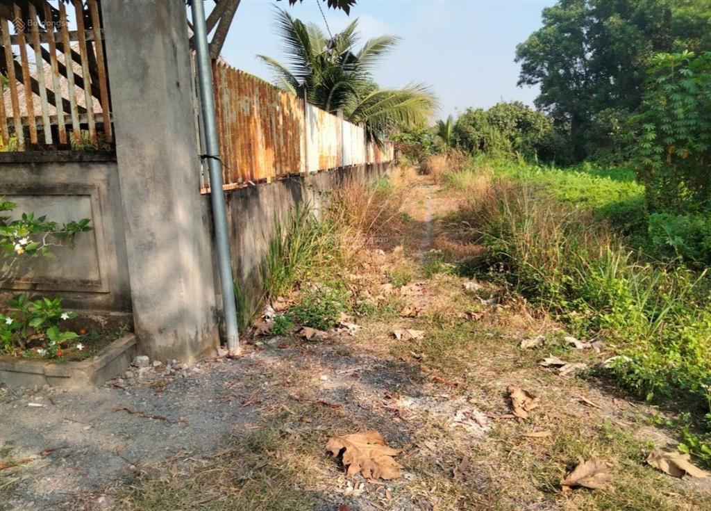 Bán ngộp lô đất vườn 1000m2  sát trường cấp 2  quy hoạch đất ở sát ngay trường cấp 2 bình hoà