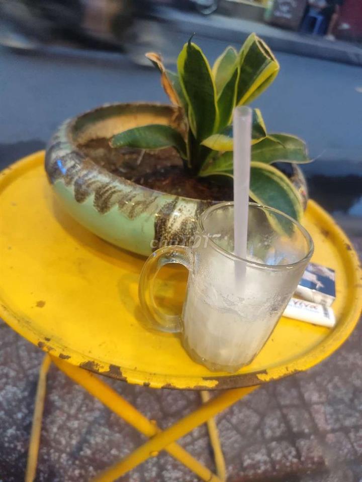 sáng quán cà phê 