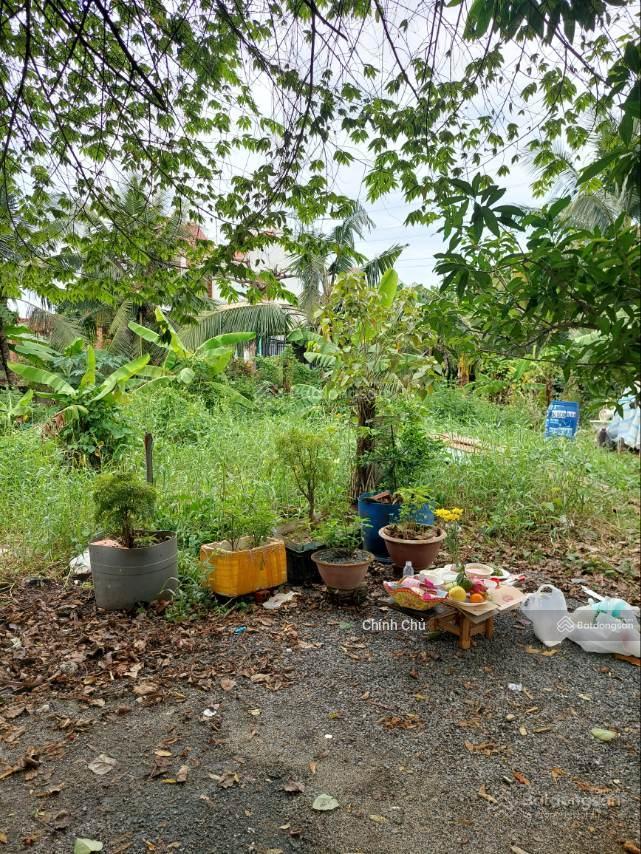 Cần bán đất mặt tiền đường võ nguyên giáp , xã phước tân, thành phố biên hòa, tỉnh đồng nai.