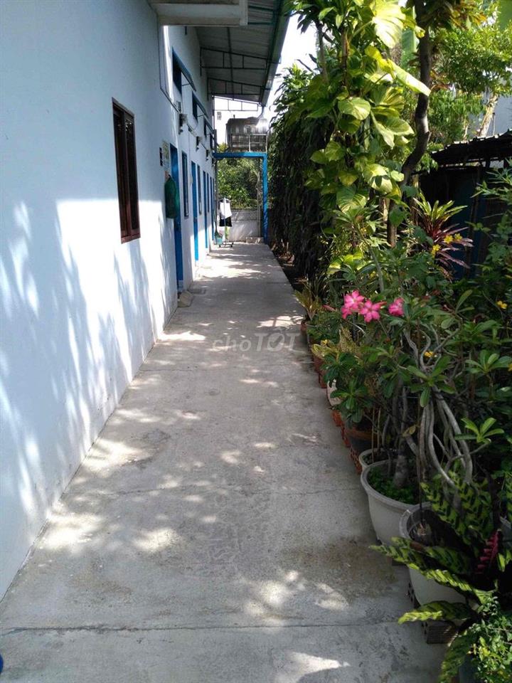 Phòng trọ cách Nguyễn Văn Quá 200m