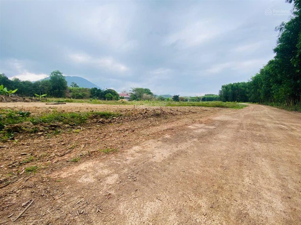 Đất diên lâm giá rẻ chỉ 230tr sổ hồng riêng có thổ cư! cơ hội đầu tư sinh lời