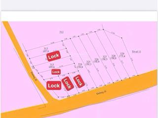 Đất diên lâm giá rẻ 300tr sổ hồng riêng có thổ cư! 150m2 ngang 5m đường betong 6m