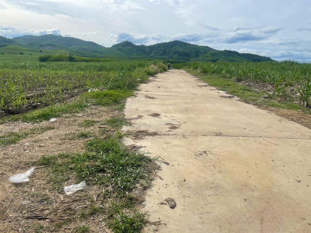 Đất vườn diên đồng lô góc đẹp rẻ 180tr. diên tích 544m2 ngang 42m đường 6m
