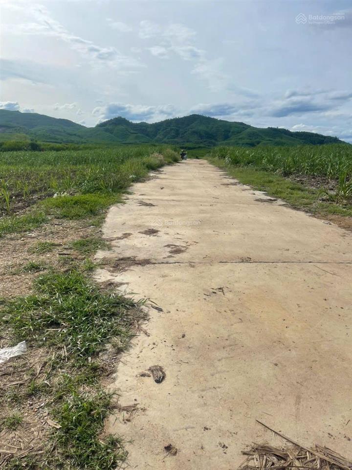 Đất vườn diên đồng lô góc đẹp rẻ 180tr. diên tích 544m2 ngang 42m đường 6m
