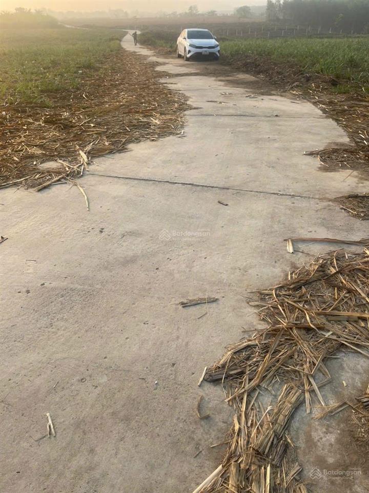 Đất vườn diên đồng lô góc đẹp rẻ 180tr. diên tích 544m2 ngang 42m đường 6m