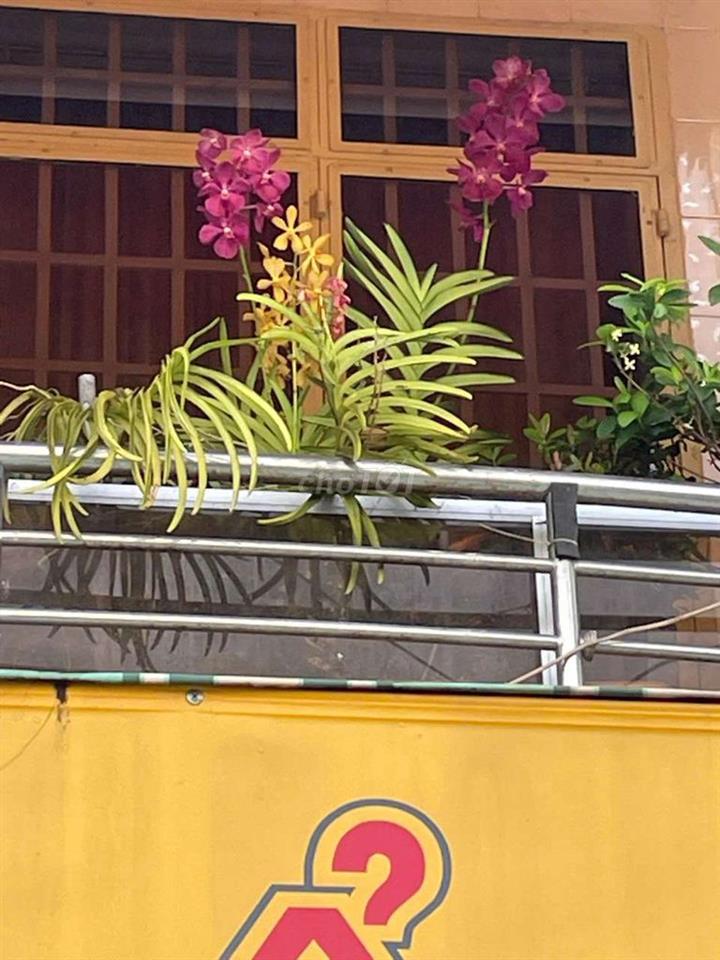 Nhà mặt tiền  đường Lý Thái Tổ