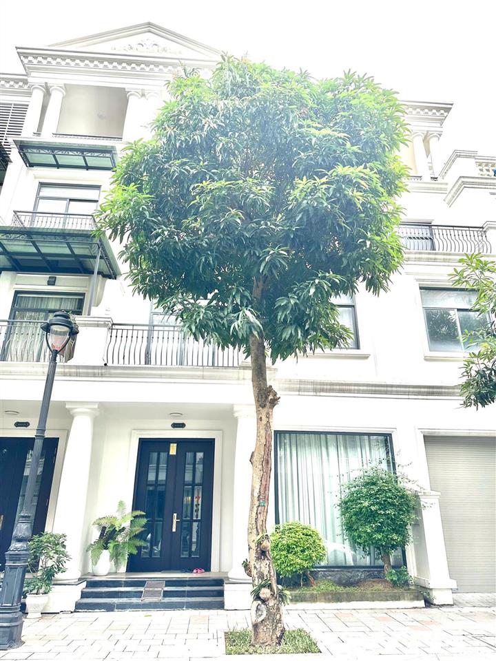 Cho thuê căn biệt thự vinhomes marina không gian sống đẳng cấp