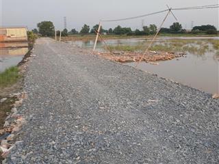 Bán đất hẻm 5m (xt) tcln, xã tân phú trung, huyện củ chi, giá 38 tỷ