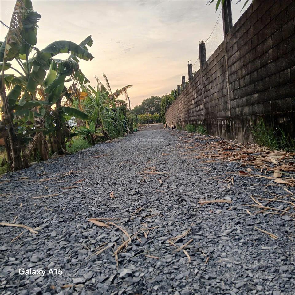 Cho thuê đất tcln hẻm 5m(xt) nguyễn thị lắng, p.tp trung, h.cc 30tr