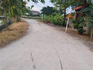 Cho thuê đất tcln hẻm 5m(xt) nguyễn thị lắng, p.tp trung, h.cc 30tr