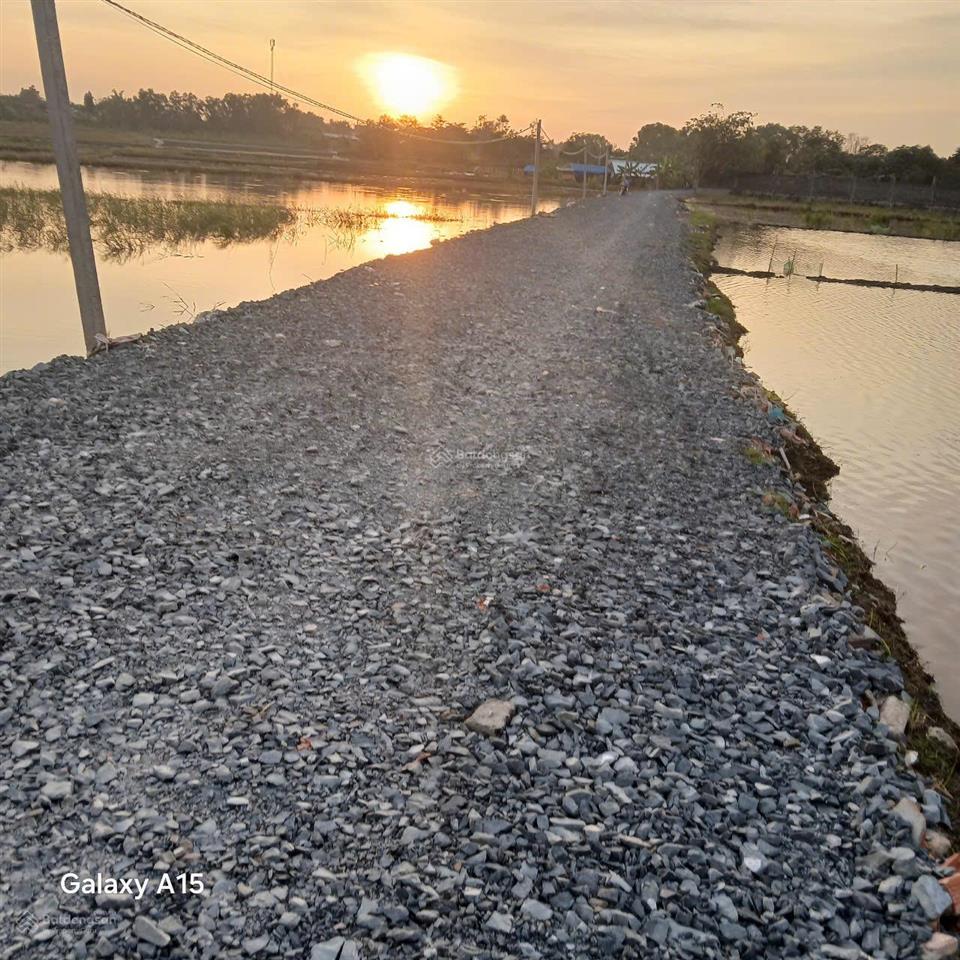 Cho thuê đất tcln hẻm 5m(xt) nguyễn thị lắng, p.tp trung, h.cc 30tr