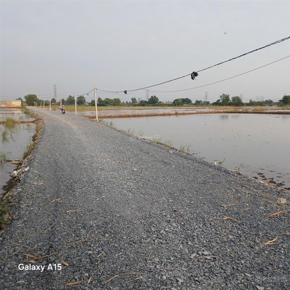 Cho thuê đất tcln hẻm 5m(xt) nguyễn thị lắng, p.tp trung, h.cc 30tr