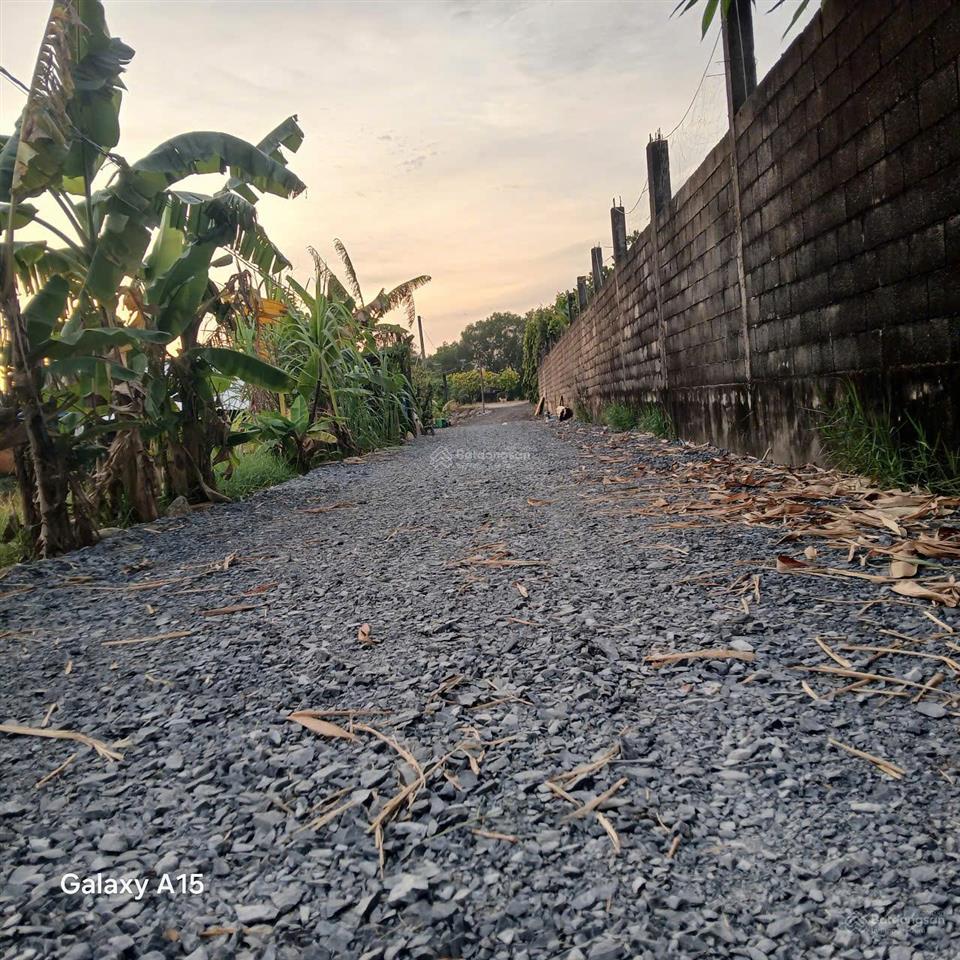 Bán đất tcln hẻm 5m(xt) nguyễn thị lắng, p.tp trung, h.cc 38 tỷ