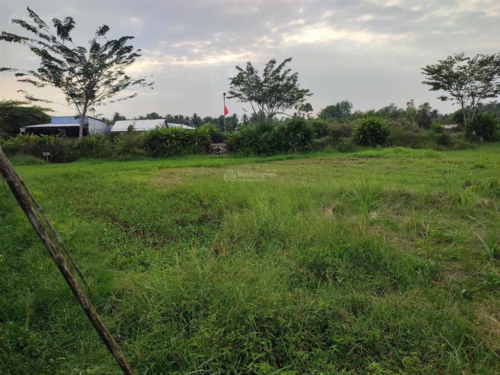 Bán đất ở 2 mt đường đh 48, xã bình ninh, huyện tam bình, vĩnh long, 1.1 tỷ