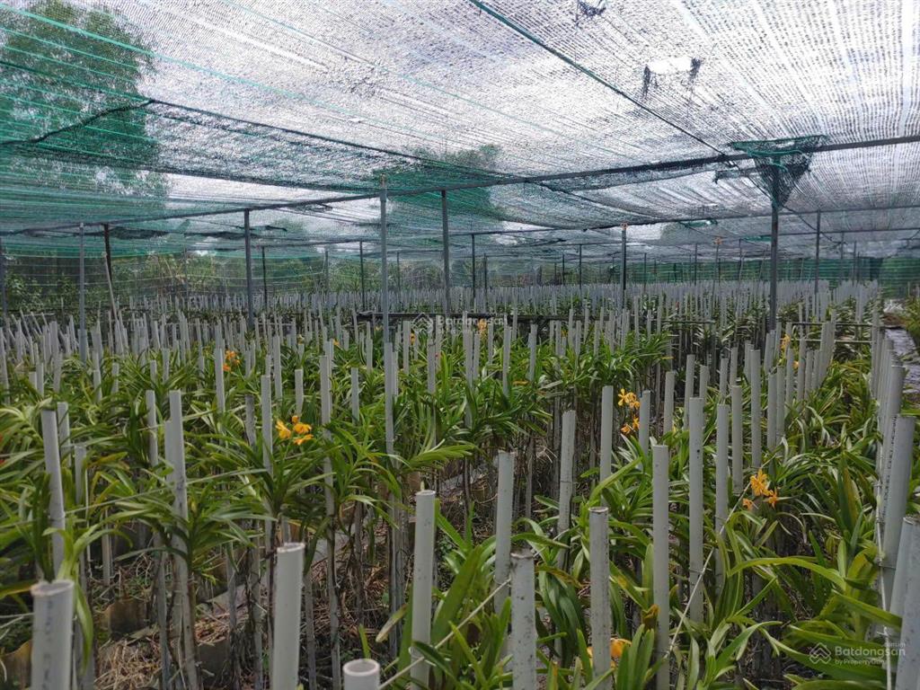 Bán nhà hẻm 4m (xt) bùi thị ngọn, x. an nhơn tây, h. củ chi, 22 tỷ