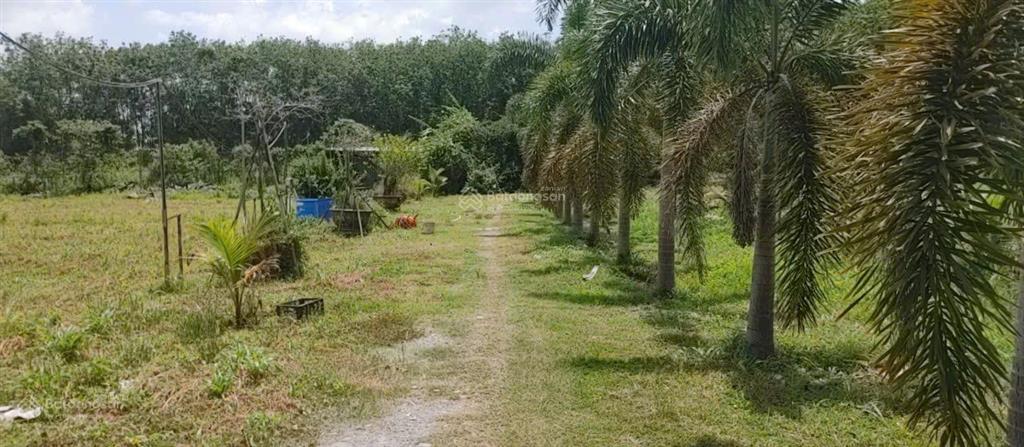 Bán nhà hẻm 4m (xt) bùi thị ngọn, x. an nhơn tây, h. củ chi, 22 tỷ