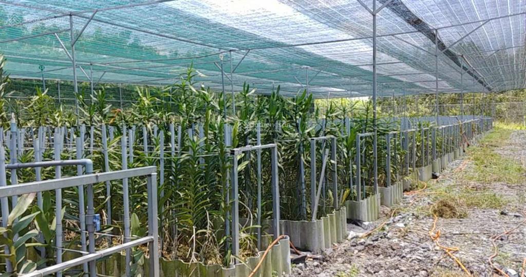 Bán nhà hẻm 4m (xt) bùi thị ngọn, x. an nhơn tây, h. củ chi, 22 tỷ