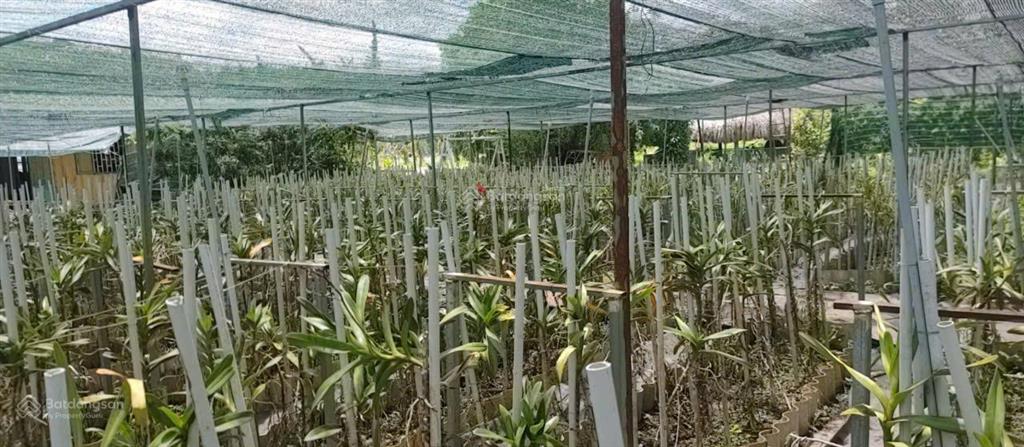 Bán nhà hẻm 4m (xt) bùi thị ngọn, x. an nhơn tây, h. củ chi, 22 tỷ