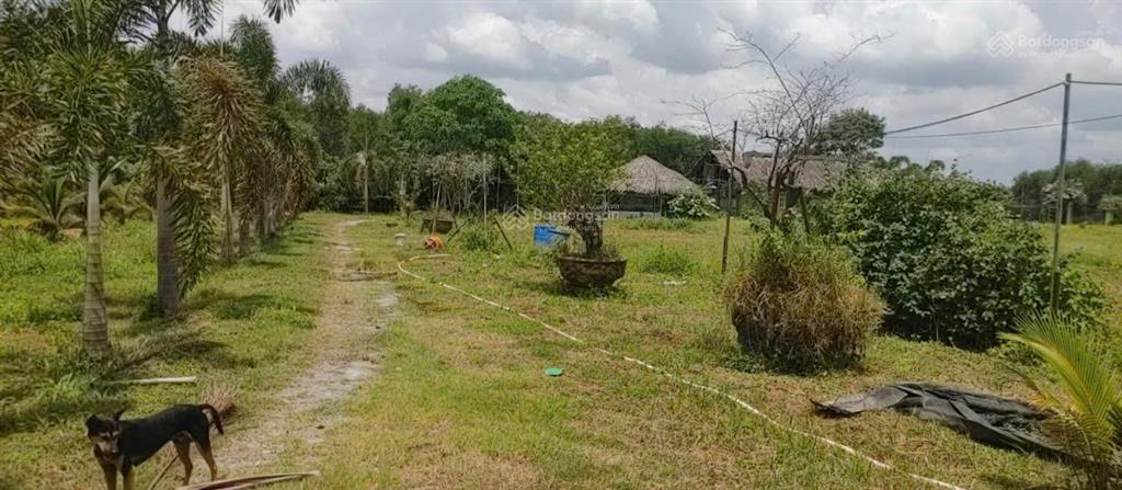 Bán nhà hẻm 4m (xt) bùi thị ngọn, x. an nhơn tây, h. củ chi, 22 tỷ