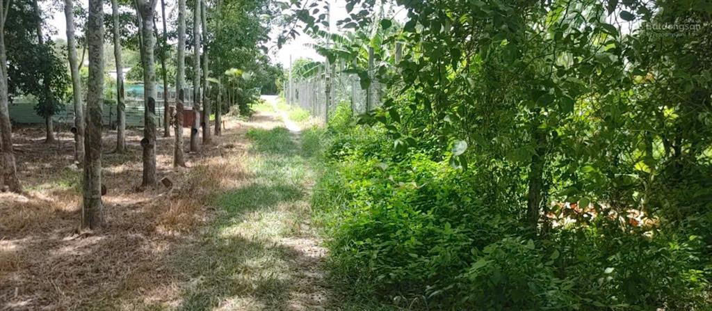 Bán nhà hẻm 4m (xt) bùi thị ngọn, x. an nhơn tây, h. củ chi, 22 tỷ