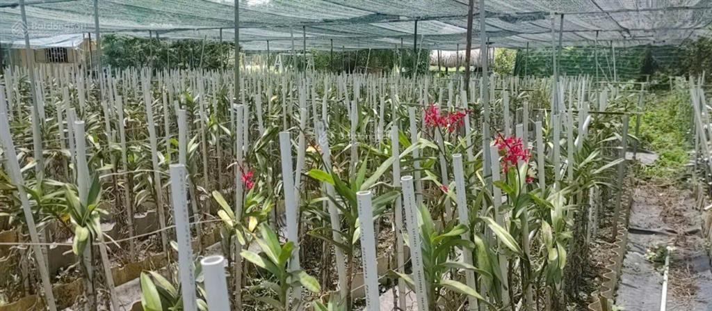 Bán nhà hẻm 4m (xt) bùi thị ngọn, x. an nhơn tây, h. củ chi, 22 tỷ