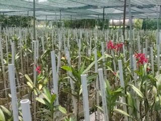 Bán nhà hẻm 4m (xt) bùi thị ngọn, x. an nhơn tây, h. củ chi, 22 tỷ