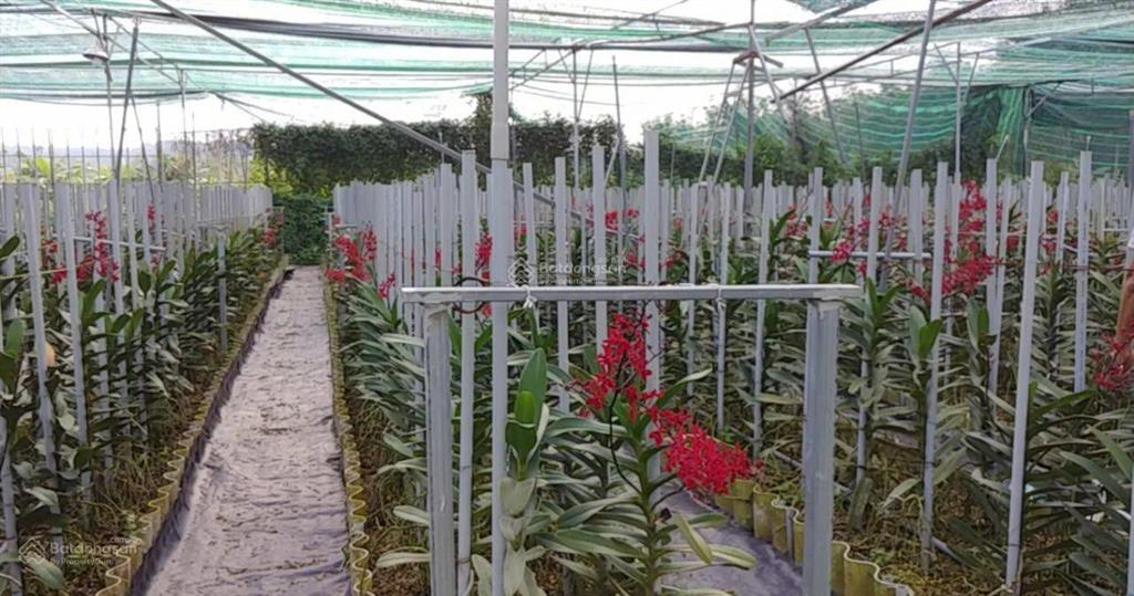 Bán nhà hẻm 4m (xt) bùi thị ngọn, x. an nhơn tây, h. củ chi, 22 tỷ