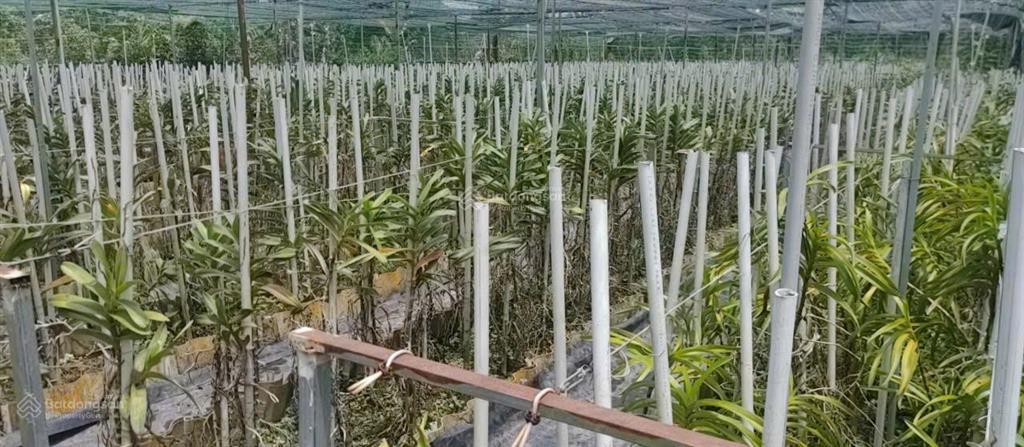 Bán nhà hẻm 4m (xt) bùi thị ngọn, x. an nhơn tây, h. củ chi, 22 tỷ