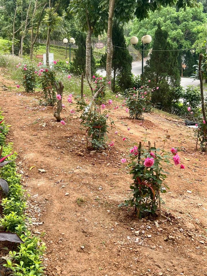 Bán căn biệt thự góc ven sườn đồi, cạnh hồ  sun village lương sơn  hòa binh