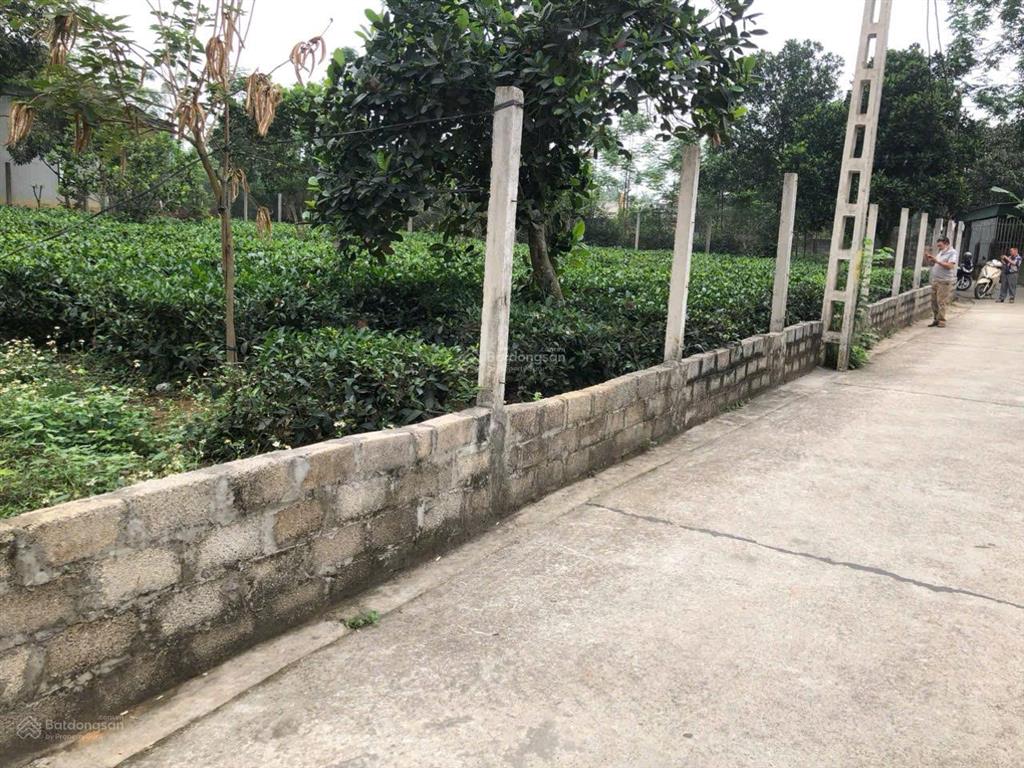 Chính chủ bán đất nền tại khu công nghệ cao hòa lạc