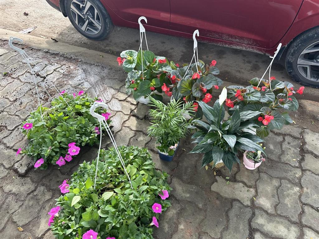 Cặp đất liền kề đường 10m5 đỗ bá, mỹ an, ngũ hành sơn, đà nẵng, khu phố tây an thượng, sát bãi tắm
