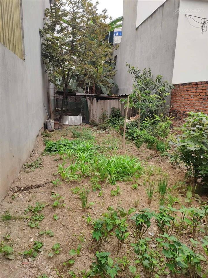 Cần bán lô đất phường tích sơn tp vĩnh yên cũ gần ngay trường mầm non hoa sen