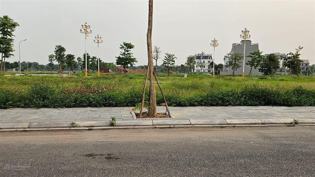 Cần bán lô đất biệt thự đơn lập khu đô thị bắc đầm vạc vĩnh yên