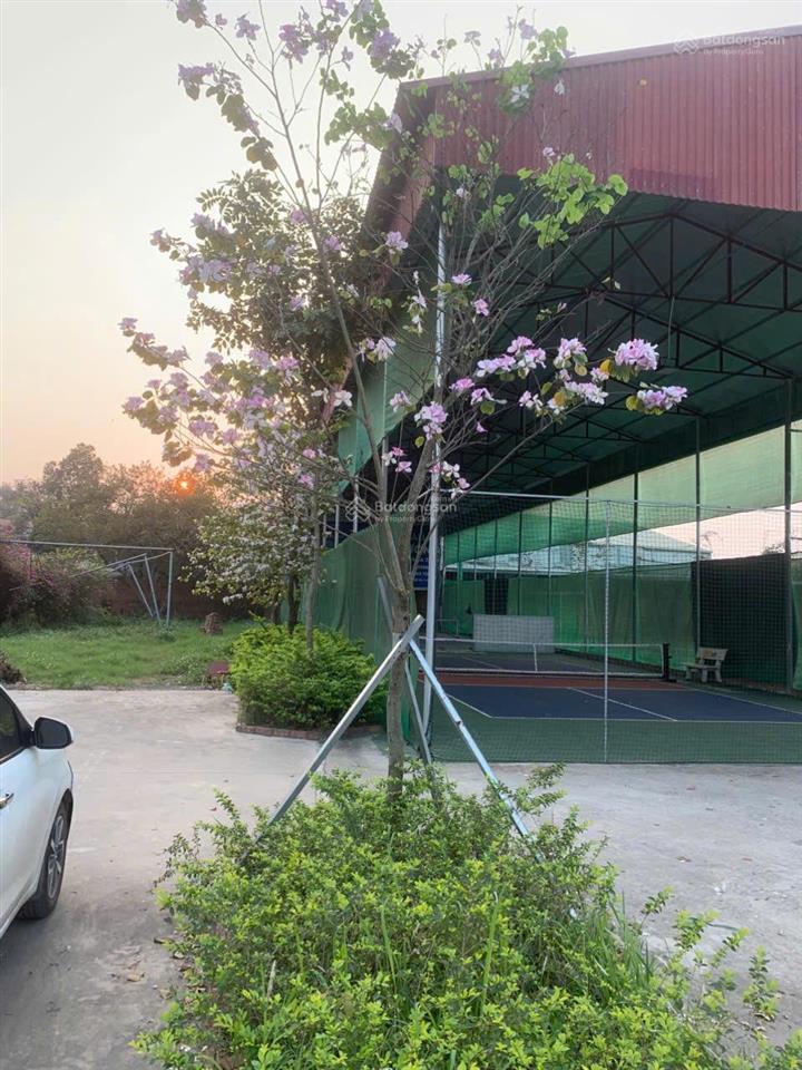 Cần nhượng lại mảnh đất doanh nghiệp khu minh phương việt trì phú thọ cũ