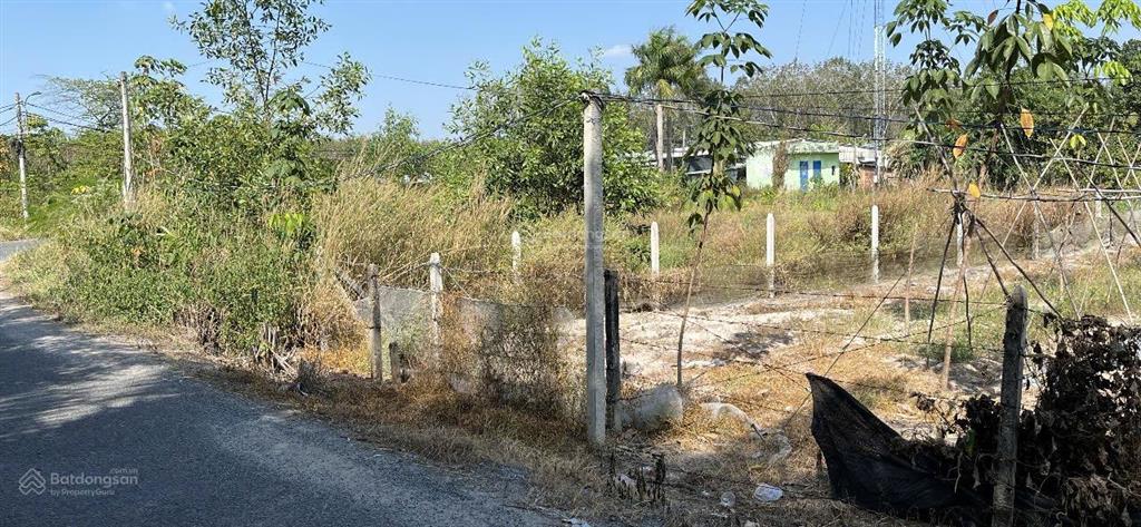 Chính chủ bán gấp đất mặt tiền đường nhựa hẻm nguyễn thị rành an nhơn tây củ chi gần 2000m2