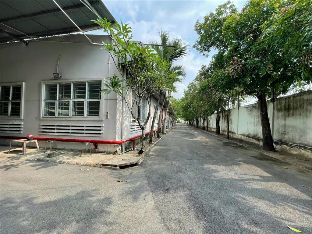 Nhà xưởng 10.000m2 đường hồ văn tắng nhà xưởng đang cho thuê 300 triệu/tháng cần bán