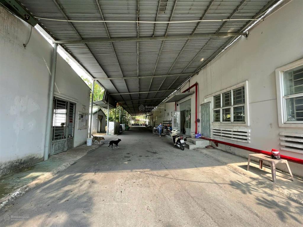 Nhà xưởng 10.000m2 đường hồ văn tắng nhà xưởng đang cho thuê 300 triệu/tháng cần bán