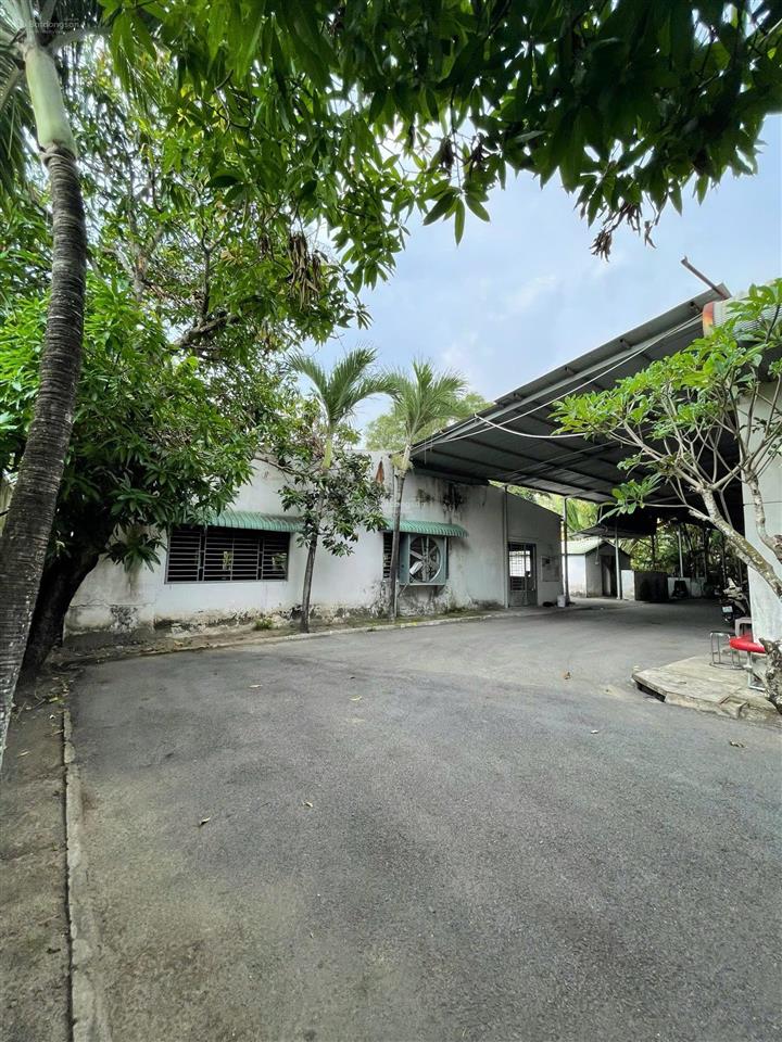 Nhà xưởng 10.000m2 đường hồ văn tắng nhà xưởng đang cho thuê 300 triệu/tháng cần bán