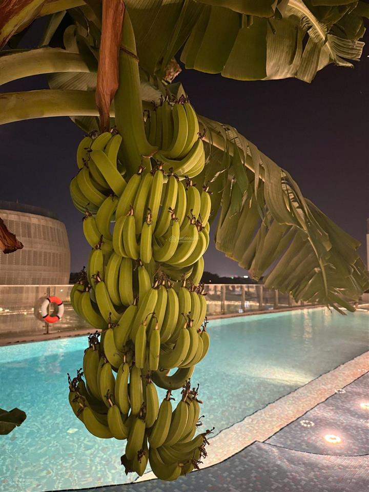 Rẻ nhất urban green bán 2pn2wc 83 m2 full nt chỉ 6 tỷ all in  có sẵn hd thuê 65m2 chỉ 5250 all in