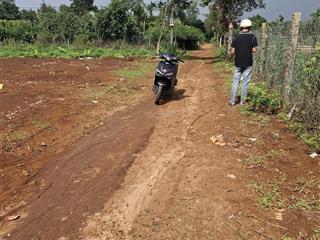 Bán đất đẹp tại xã biển hồ , gia lai, 440 triệu, 145 m2