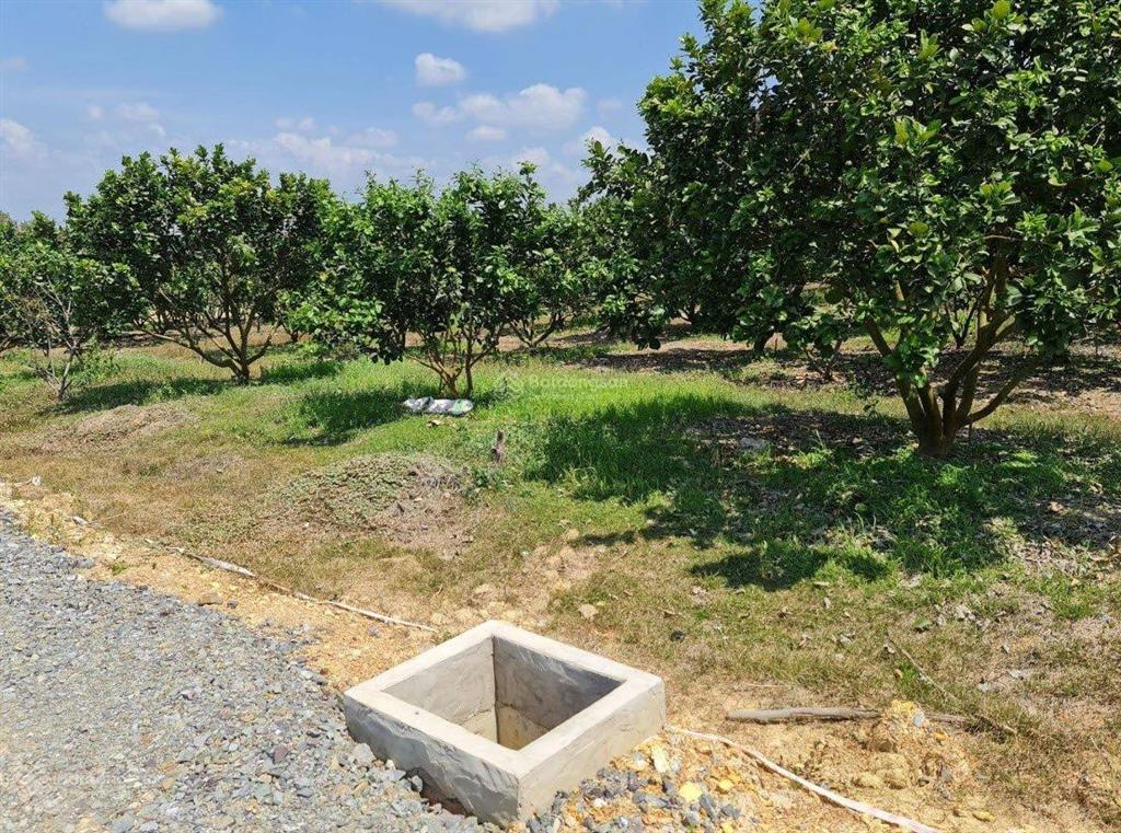 Bán gấp đất gần hồ trị an, rất hợp nghỉ dưỡng, thiên nhiên trong lành