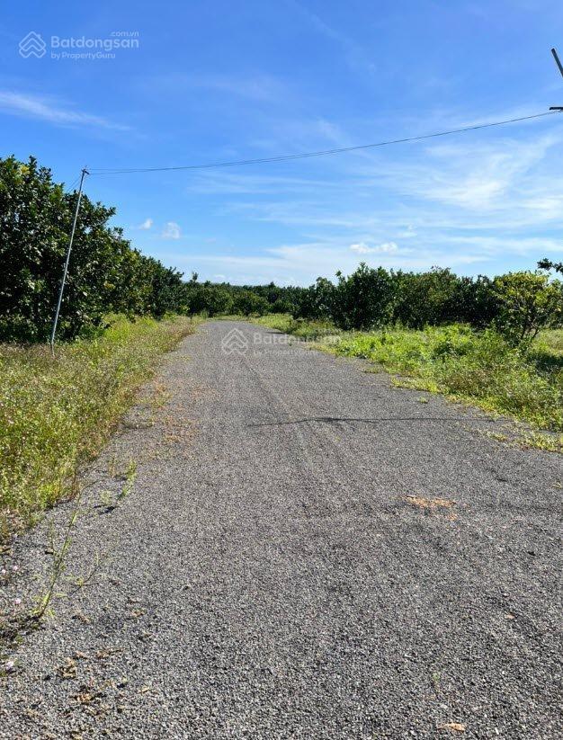 Bán gấp đất gần hồ trị an, rất hợp nghỉ dưỡng, thiên nhiên trong lành