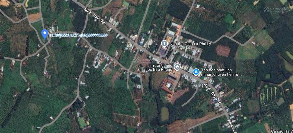 Bán gấp đất gần hồ trị an, rất hợp nghỉ dưỡng, thiên nhiên trong lành