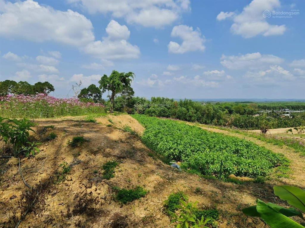 Bán gấp đất gần hồ trị an, rất hợp nghỉ dưỡng, thiên nhiên trong lành